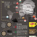 tim-hieu-ve-tra-infographic-min