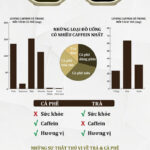 tra-hay-ca-phe-co-loi-hon-infographic-min