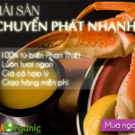 Hai san chuyen phat nhanh VinaOrganic