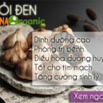 Toi den VinaOrganic