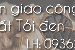 Chuyển giao công nghệ sản xuất tỏi đen liên hệ 0936224798