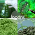 Thực phẩm chức năng tảo spirulina