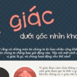 Vi_giac_duoi_goc_nhin_khoa_hoc_foodnk 2
