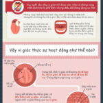 inforgpraphic-vi-giac-duoi-goc-nhin-khoa-hoc