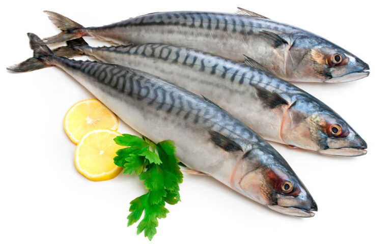 Bạn có đang ăn cá đúng cách? Chế biến như thế nào để có lợi?