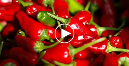 Lý giải vị cay và tác dụng giảm đau của ớt