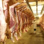 neu-chung-ta-khong-thit-thi-trai-dat-se-ra-sao-min