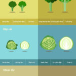 infographic-rau-qua-nao-o-viet-nam-khong-bi-hang-trung-quoc-gia-mao-1-min