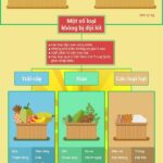 infographic-rau-qua-nao-o-viet-nam-khong-bi-hang-trung-quoc-gia-mao-min