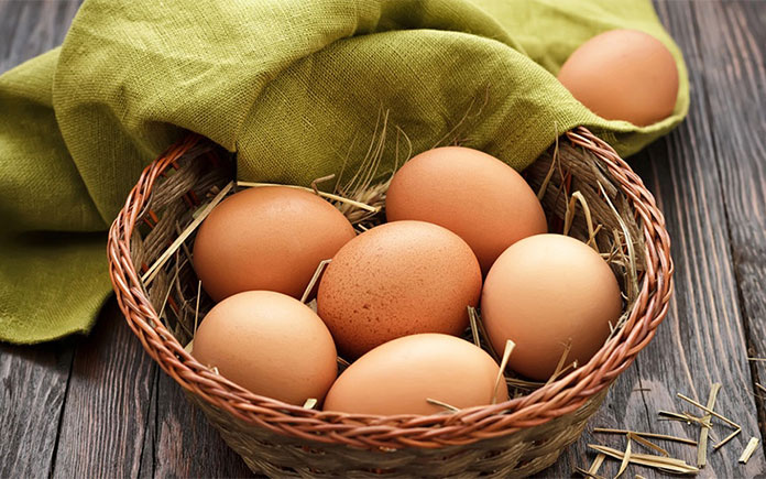 Chúng ta thường căn cứ vào thói quen và sở thích để lựa chọn ăn trứng nào, mà ít ai biết được thành phần dinh dưỡng và công dụng của từng loại