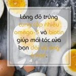 thuc pham ngan rung toc 4