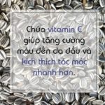 thuc pham ngan rung toc 5