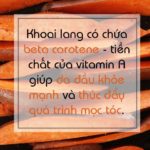 thuc pham ngan rung toc 6