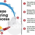 Nguyên lý của sấy thăng hoa freeze drying