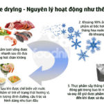 Nguyên lý hoạt động của freeze drying sấy thăng hoa