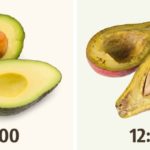 Quả bơ là loại quả khó đoán nhất trên đời