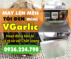 Máy tỏi đen mini