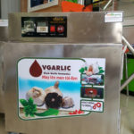 may toi den vgarlic 1