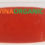 z585643089244_3568ece4dfaca9ed1914f320ab3571fa