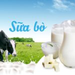 sua bo tuoi vinaorganic