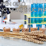 Chuyen giao cong nghe thuc pham la gi