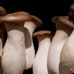 co-the-ban-chua-biet-bot-ngot-la-mot-san-pham-len-men-2