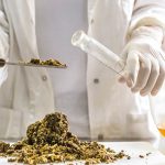 ky-su-kinh-doanh-mot-viec-lam-du-suc-hap-dan-ky-su-cong-nghe-thuc-pham