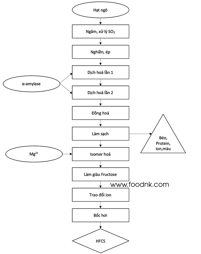 Quy trình sản xuất HFCS tham khảo