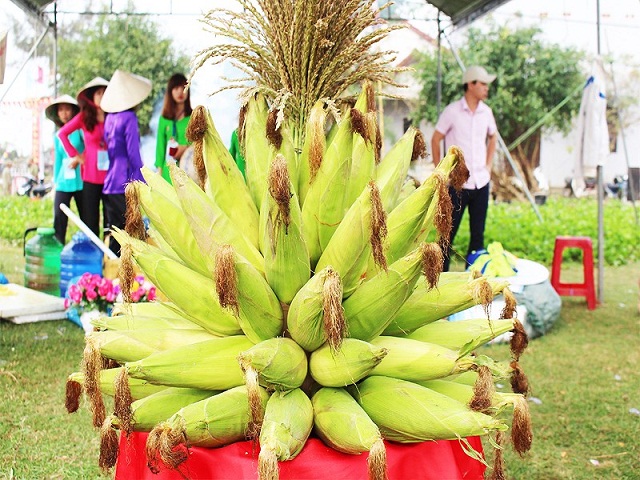 Bắp bên dòng sông Thu Bồn là một trong những loại cây trồng chủ lực giúp người nông dân nơi đây thoát nghèo (Ảnh: TL)