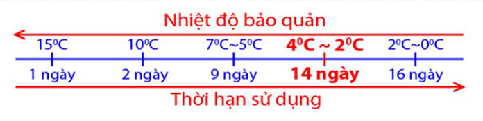 Thời gian bảo quản tỉ lệ nghịch với nhiệt độ bảo quản