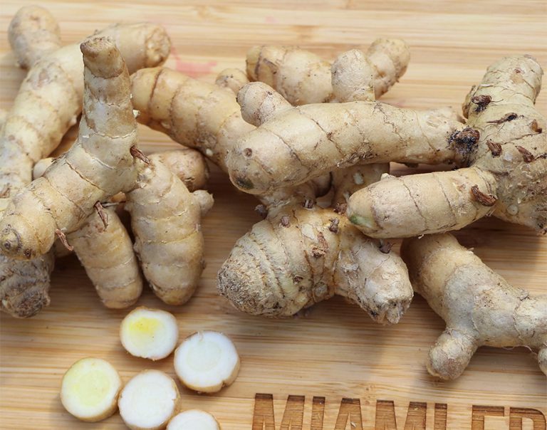 Tinh bột ngải (nghệ trắng) nâng cao giá trị sản phẩm nông nghiệp tiềm năng