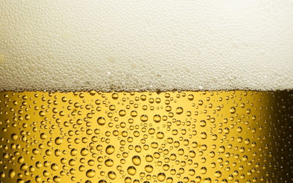 Bọt bia được tạo thành từ hoạt động hấp phụ các chất có hoạt tính bề mặt trên bề mặt của CO2. Ở đây protein đóng vai trò quan trọng nhất