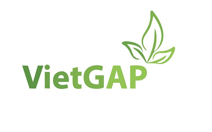 VietGAP là viết tắt của Vietnamese Good Agricultural Practices. Đây là hệ thống các quy định về thực hành sản xuất nông nghiệp tốt cho các