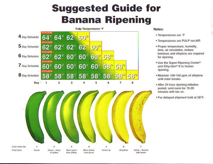 Phản ứng loàm mất màu xanh – Degreening nói đơn giản là quá trình loại bỏ màu xanh (do sắc tố chlorophyll) có trên vỏ các loại trái cây