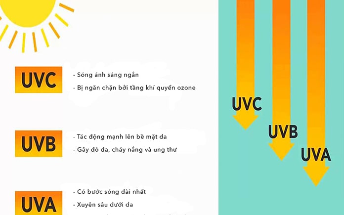 Nếu chúng ta để thực phẩm, như rau củ hay thịt cá... tiếp xúc quá lâu dưới ánh sáng mặt trời, sẽ gây ra những ảnh hưởng đến chất lượng....