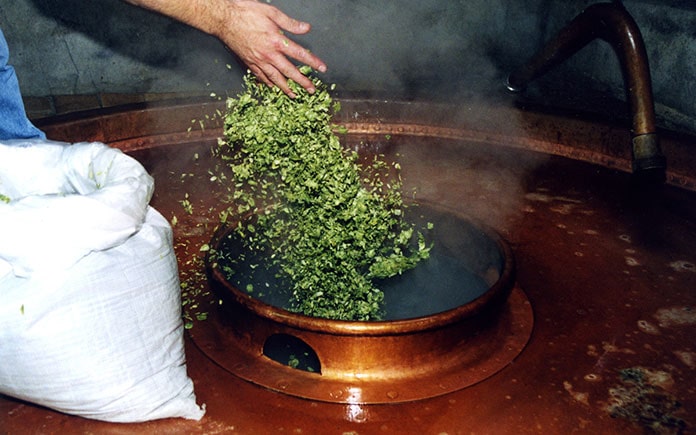 Nấu hoa bia là quá trình đun sôi dịch đường với hoa houblon nhằm trích ly các thành phần chất tan của hoa vào dịch đường. Mặt khác, đun sôi