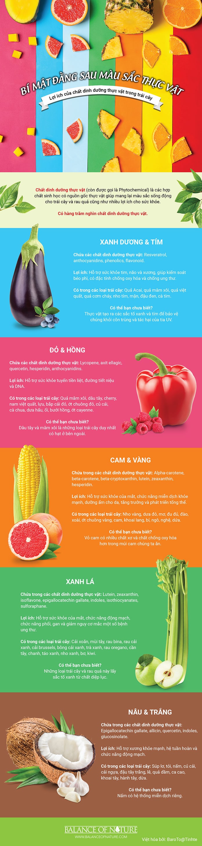 nhiều lợi ích cho sức khỏe. Mời các bạn theo dõi infographic dưới đây để hiểu rõ hơn về Phytochemical ẩn sau vẻ đẹp của các màu sắc