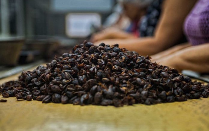 Đã có nhiều cá nhân, công ty thấy được tìm năng của phụ liệu vỏ cà phê. Từ một phế phẩm bỏ đi sau khi thu hoạch cà phê. Giờ đây chúng ta có...