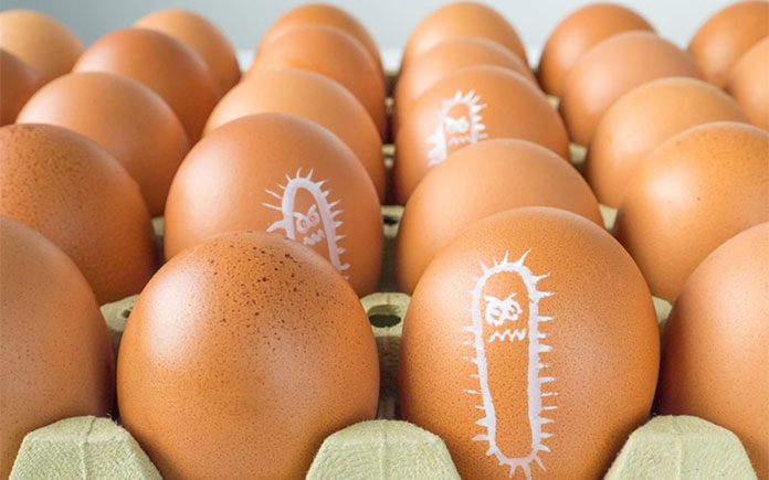 Các món ăn làm từ trứng sống như sốt mayonnaise, kem trứng đều có nguy cơ nhiễm khuẩn Salmonella, thứ vi sinh vật bám trên vỏ trứng