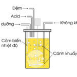 cac-phuong-phap-len-men-giam-trong-cong-nghiep-thuc-pham-3-min