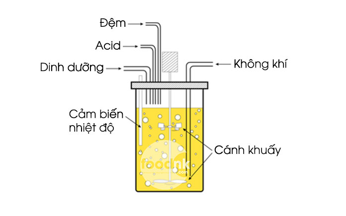 Tuy vậy để sản xuất giấm ăn với số lượng lớn theo quy mô công nghiệp, có nhiều phương pháp khác để giúp quá trình lên men giấm đạt hiệu suất