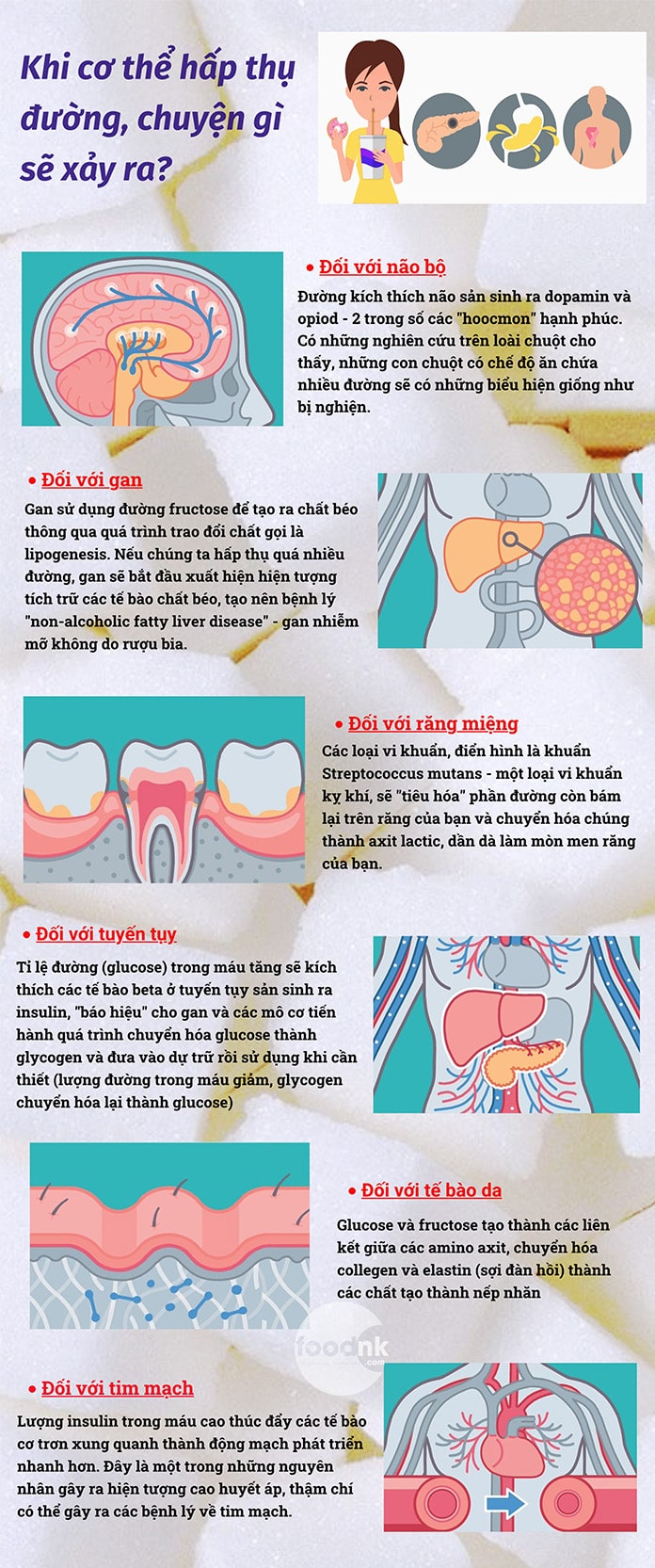 Khi cơ thể hấp thụ đường, chuyện gì sẽ xảy ra? Hàng loạt các cơ quan như não bộ, gan, răng miệng, tuyến tuỵ, tế bào da và hệ tim mạch sẽ có