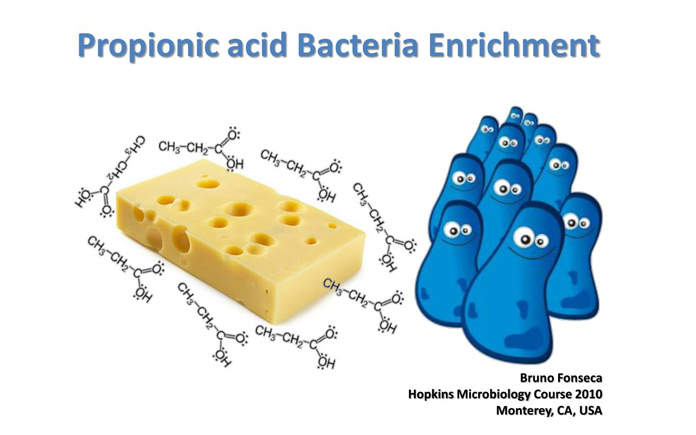 Acid Propionic có tác dụng bảo quản thực phẩm khỏi nấm mốc. Trong thực phẩm, lên men propionic là quá trình chuyển hóa acid lactic và muối...