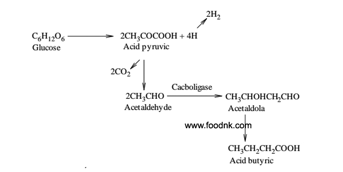 Quá trình lên men butyric thực chất là quá trình phân giải yếm khí đường tạo thành acid Butyric và một số sản phẩm phụ khác. Những acid...