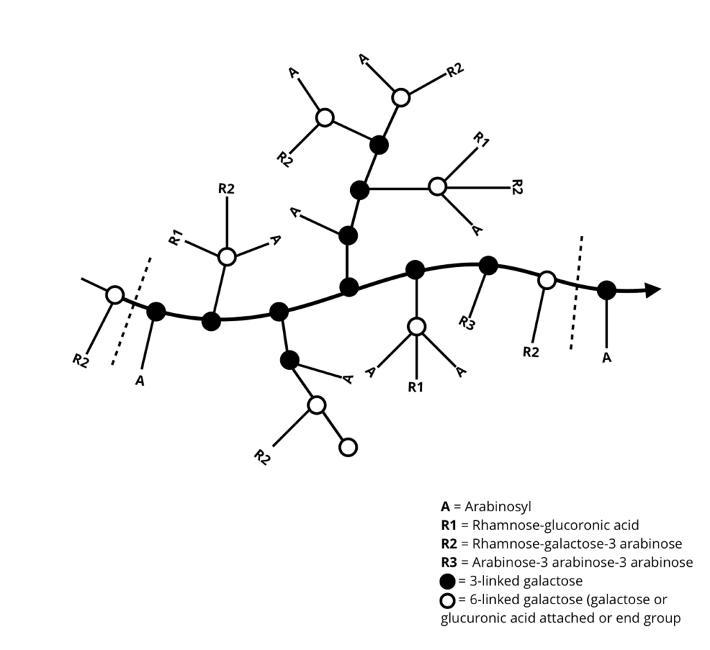 Gum arabic (acacia gum, INS 414) là một loại keo thực phẩm có nguồn gốc tự nhiên được chiết từ nhựa loại cây acacia và đã được sử dụng làm