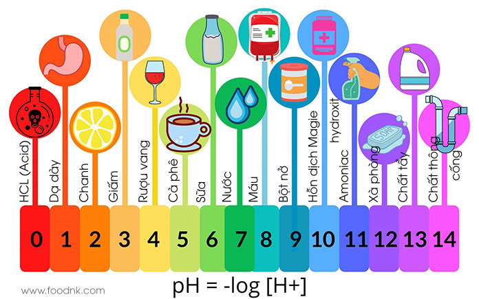 Kiểm soát chất lượng trong quá trình chế biến các sản phẩm thực phẩm sẽ làm giảm mọi nguy cơ và vấn đề tiềm ẩn. Kiểm soát chất lượng bao gồm