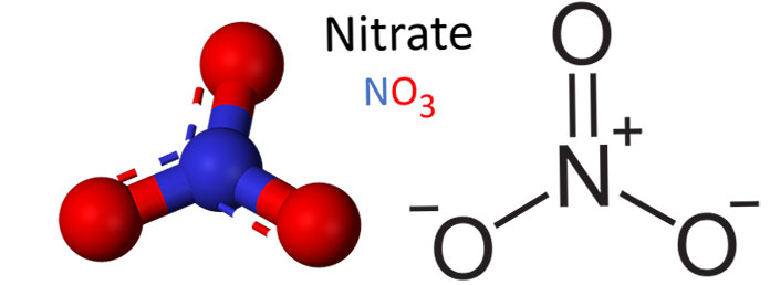 Hoạt động chống vi sinh vật của các hợp chất nitrate và nitrite chỉ hướng đến vi khuẩn yếm khí. Đối với vi khuẩn hiếu khí, trong thực tế