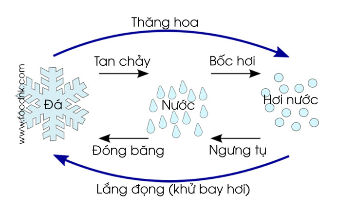 Sấy thăng hoa là quá trình thiết bị tách ẩm khỏi vật liệu sấy trực tiếp từ trạng thái rắn sang trạng thái hơi nhờ quá trình thăng hoa. Để tạo