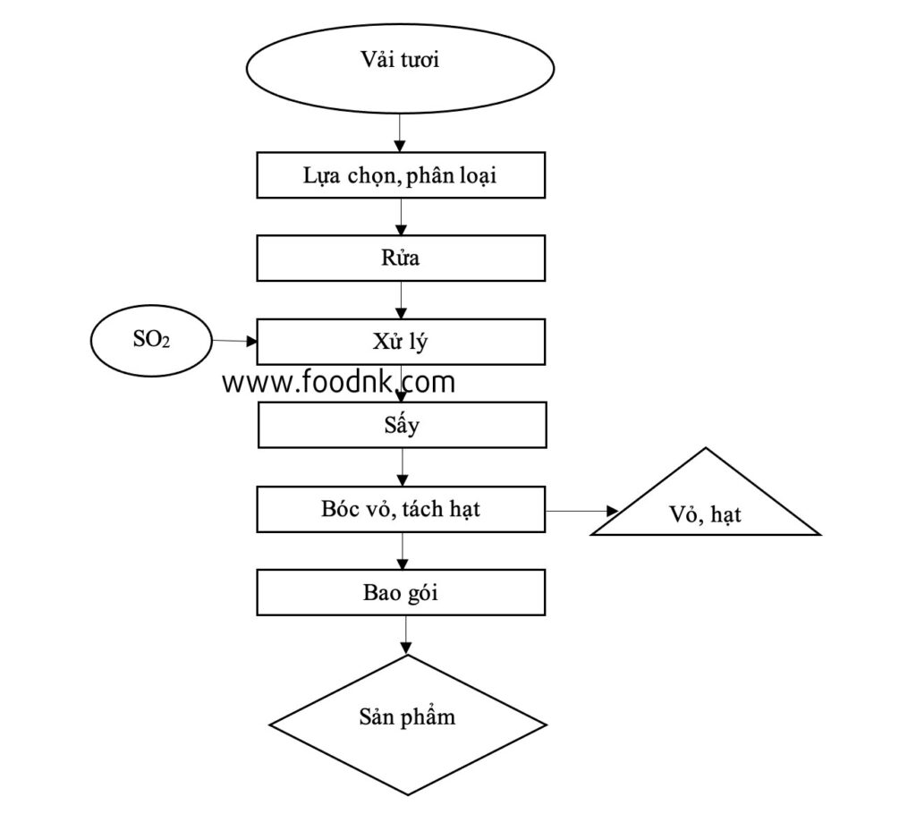 Bài viết này, chúng ta sẽ đi vào chi tiết một quy trình sản xuất quả vải sấy khô, một sản phẩm có thời gian bảo quản lâu, cảm quan tốt và