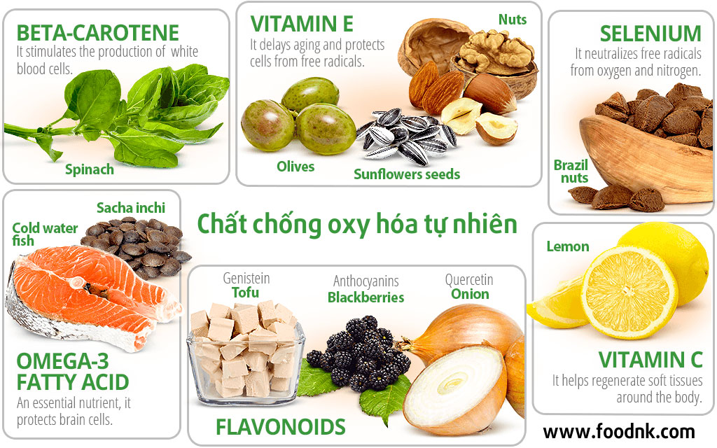 Nói chung, thuật ngữ “chất chống oxy hoá tự nhiên” để chỉ những hợp chất có trong tự nhiên và có thể chiết xuất chúng từ các mô động và thực